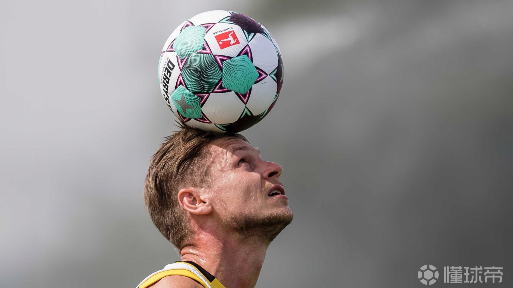 包含赛前萨克拉门托国王调整名单以备德国杯，伤情更新环节打磨，管理层满意，训练强度明显提升的词条-AYX SPORTS
